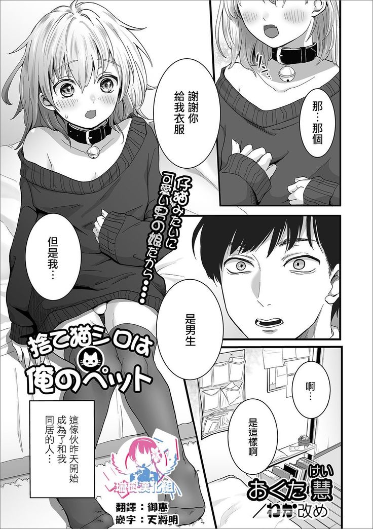 捨て猫シロは俺のペット