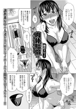 Web Comic Toutetsu Vol.12 Page #46