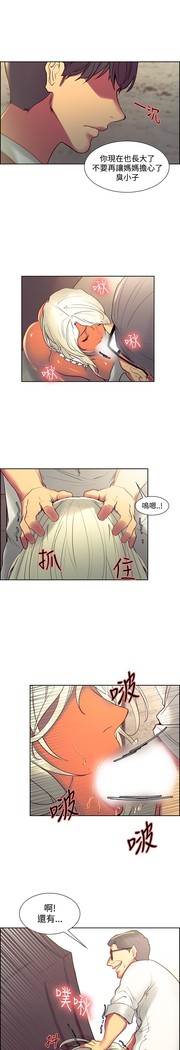 Domesticate the Housekeeper 调教家政妇 Ch.29~44END 中文