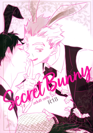 Secret Bunny Page #1