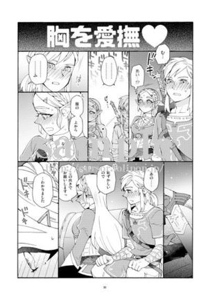 Futari no shiren R 18(The Legend of Zelda)  [sample Page #5