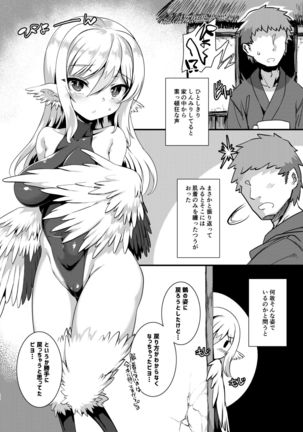 Tsuru Harpy no Ongaeshi + Kaijou Genteibon Page #22
