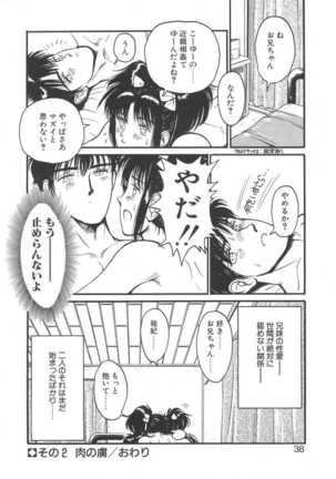 Imouto wa Maniac - Page 38