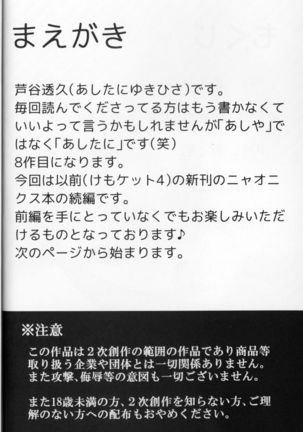 【C90】ニャオニクス×R18本 NyaoNightX - Page 3