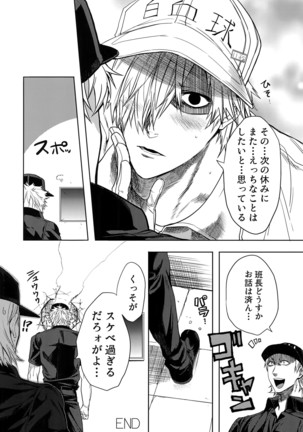 Leucocyte no Fuan Zairyou Page #43