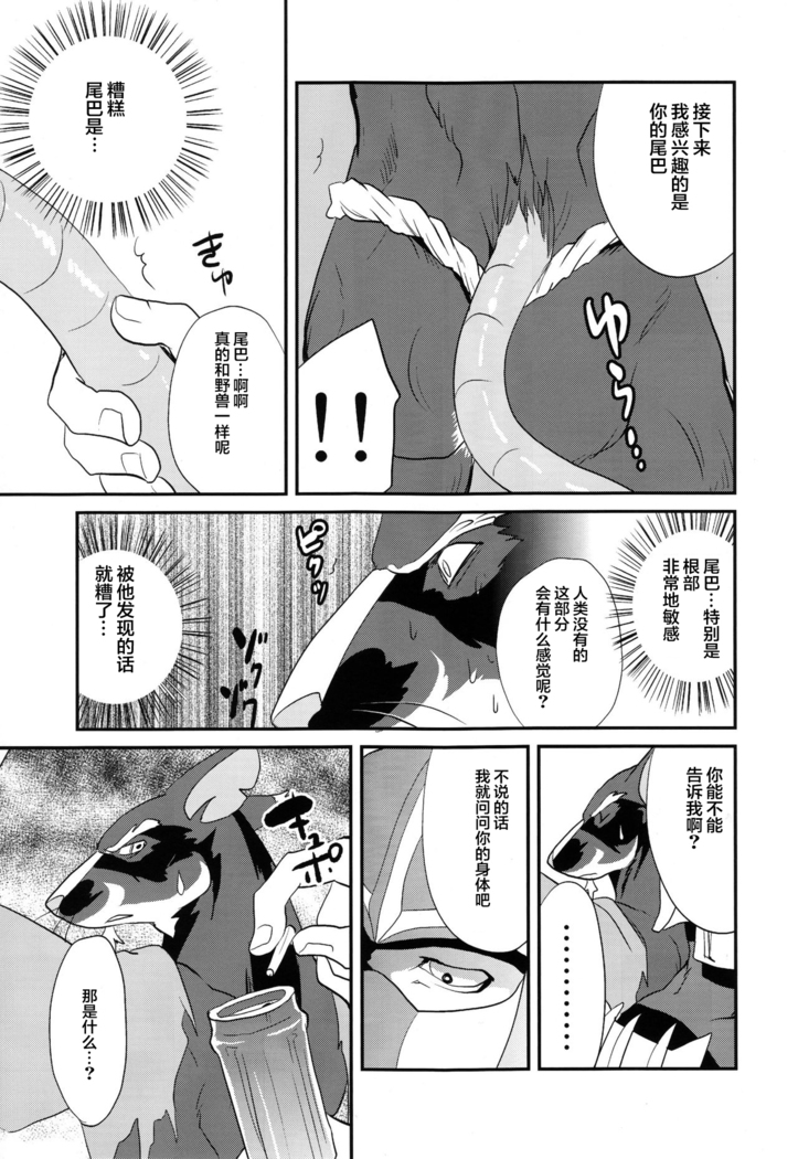 Splinter-sensei Kiki-ippatsu