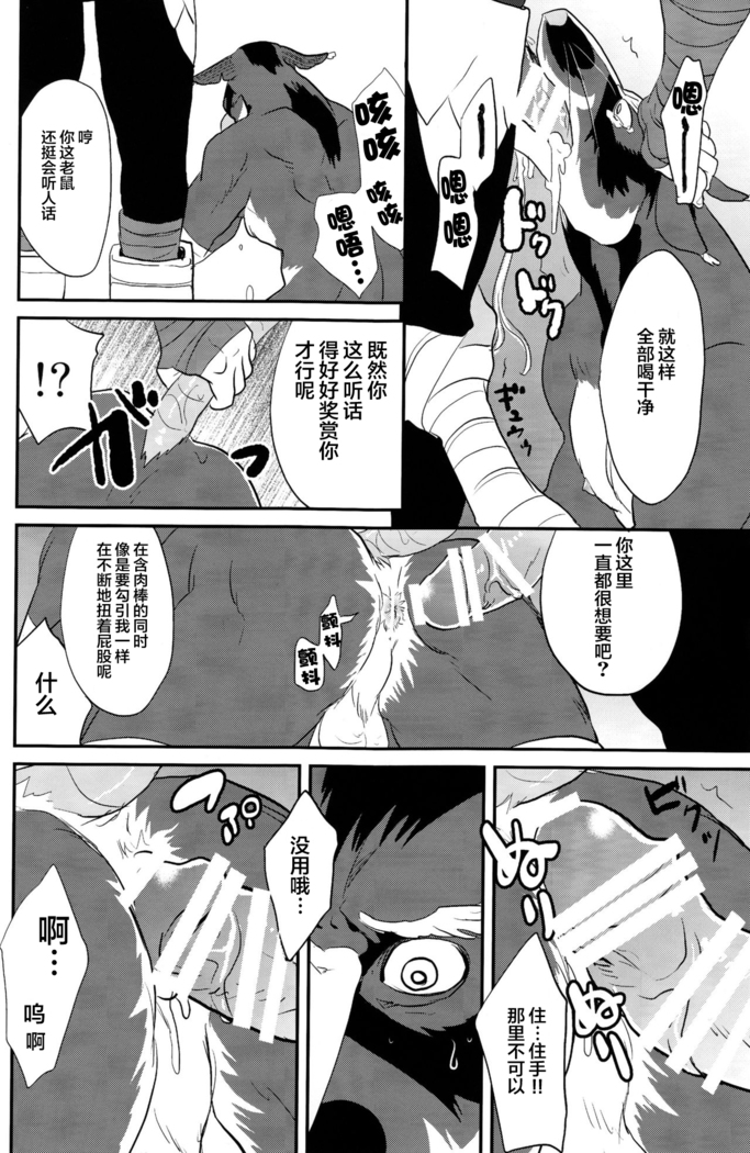 Splinter-sensei Kiki-ippatsu