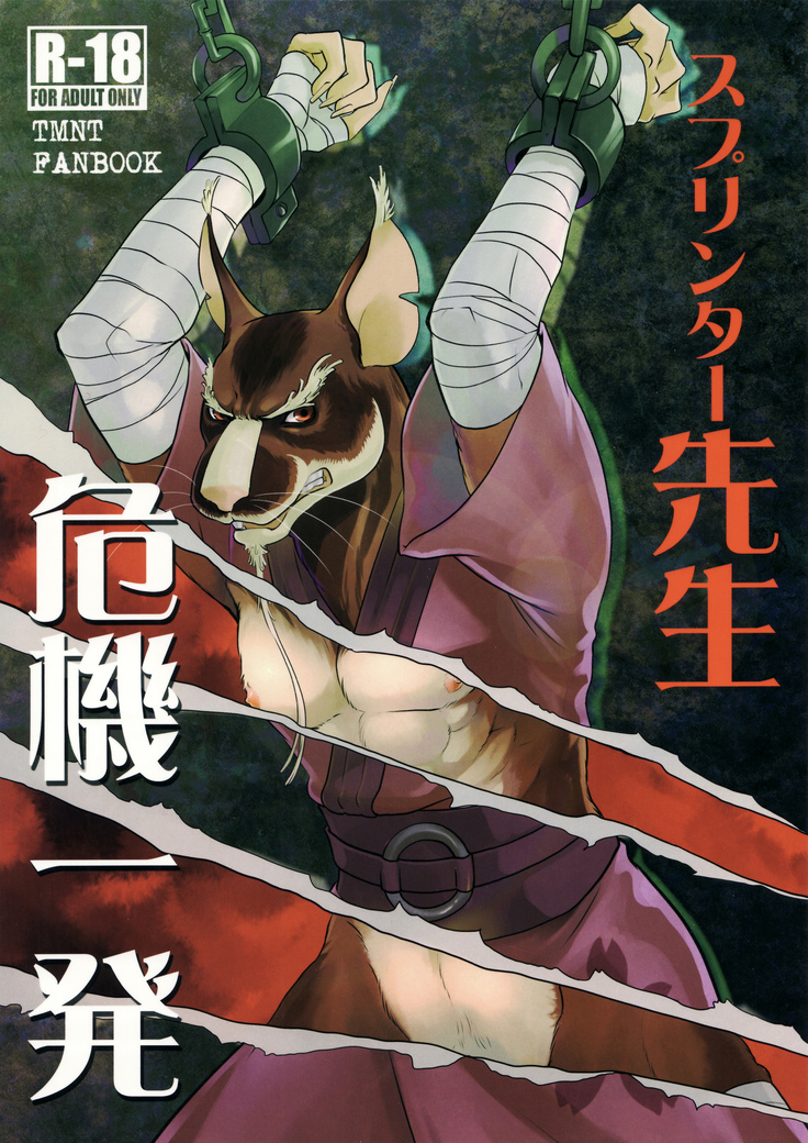 Splinter-sensei Kiki-ippatsu