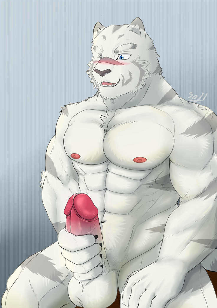 kemono no yohei