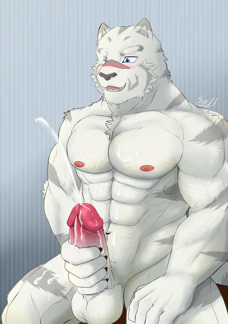 kemono no yohei