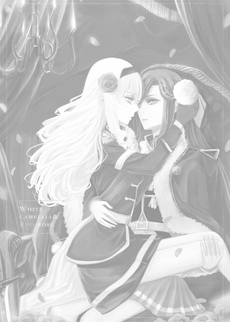 2048565-White Camellia & Red Rose