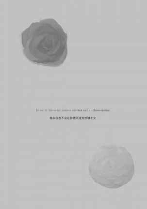 2048565-White Camellia & Red Rose