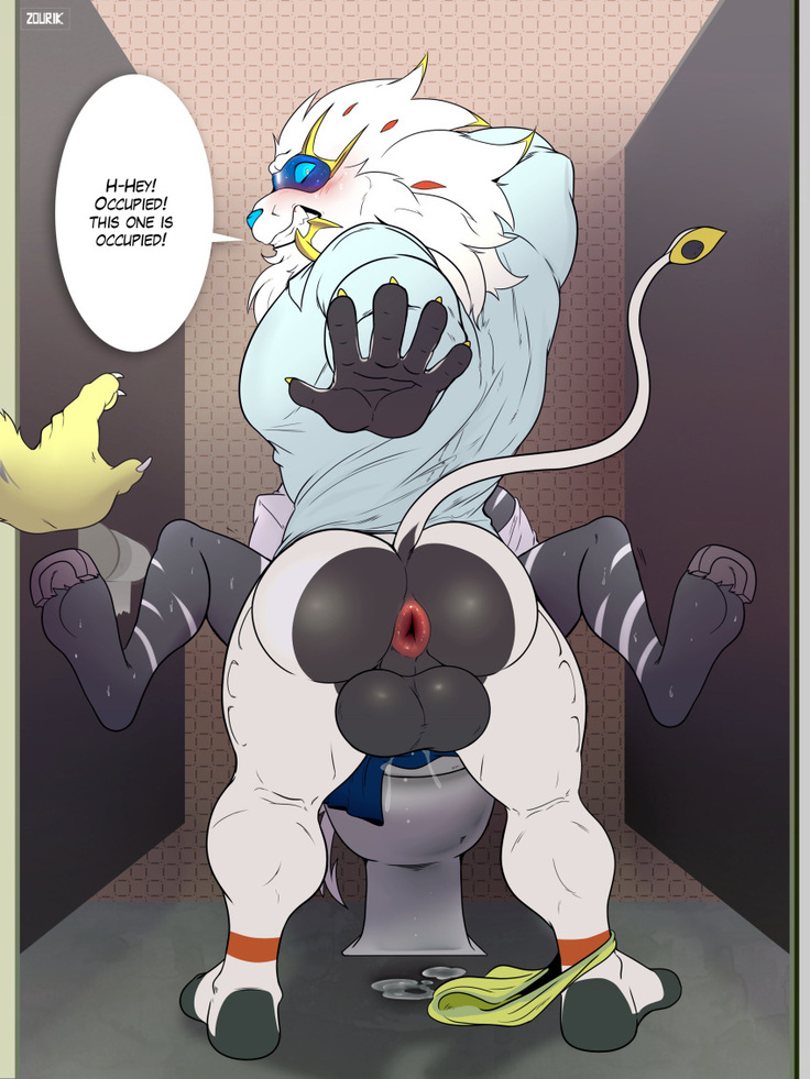 Pokemon Zourik TN