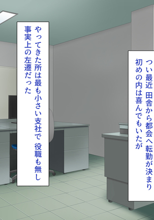 Image 4600045