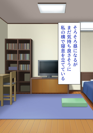 家出ビッチを拾ったら Page #371