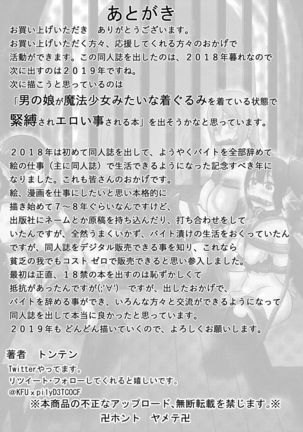 Vamparade 4 ~Kyuuketsuki Sanshimai Hobaku Hen~ - Page 27