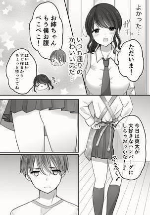 Ane to Otouto no Ecchi na Routine Page #25