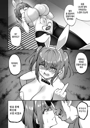 Image 14310933