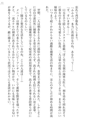 性隷姦長ナナリー　淫獄の捕虜収容所 - Page 43