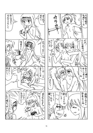 Hanra HomuAn 4-koma no Hon - Page 14