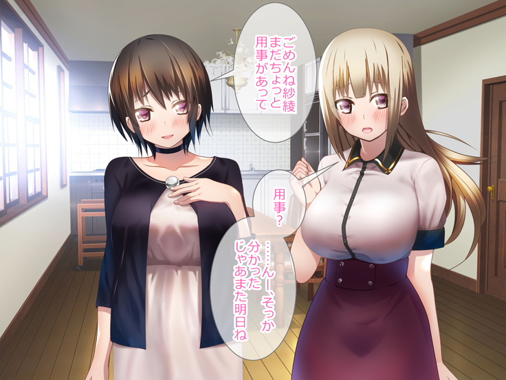 Shoukibo Cult no Kyouso ni Natte Shimai Harem Tsukutte Mita