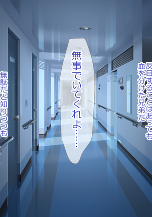 Image 3818180