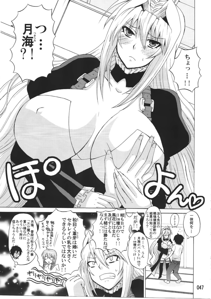 水ノ鶺鴒-ハニーバンプ セキレイ月海総集編-