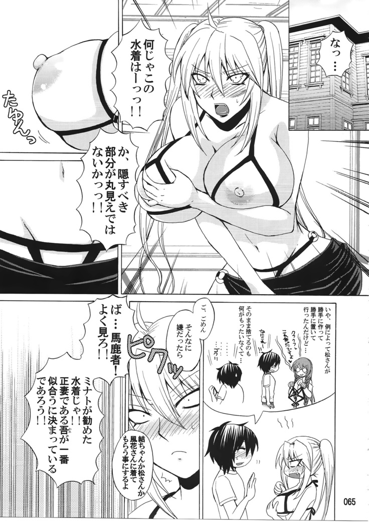 水ノ鶺鴒-ハニーバンプ セキレイ月海総集編-