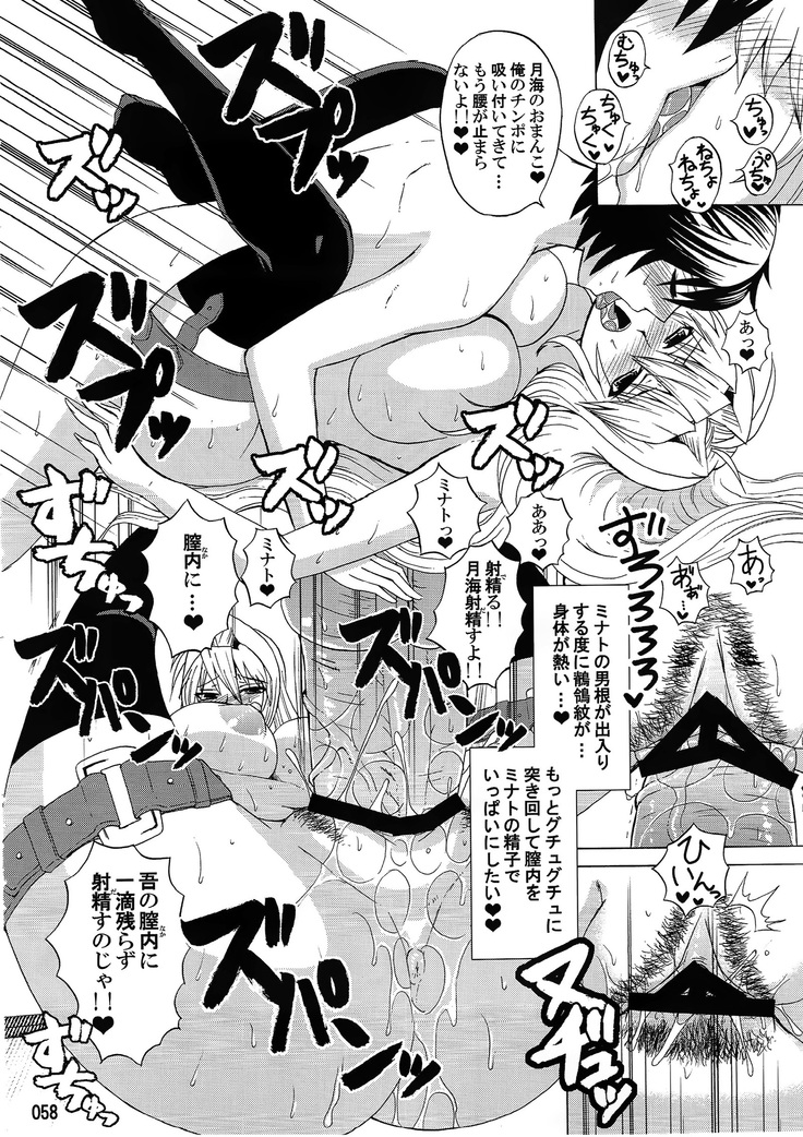 水ノ鶺鴒-ハニーバンプ セキレイ月海総集編-
