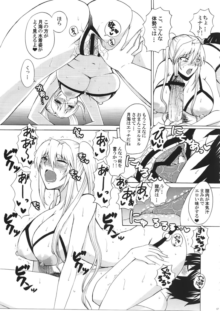 水ノ鶺鴒-ハニーバンプ セキレイ月海総集編-