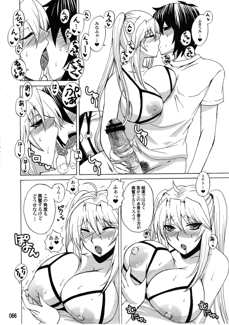 水ノ鶺鴒-ハニーバンプ セキレイ月海総集編-