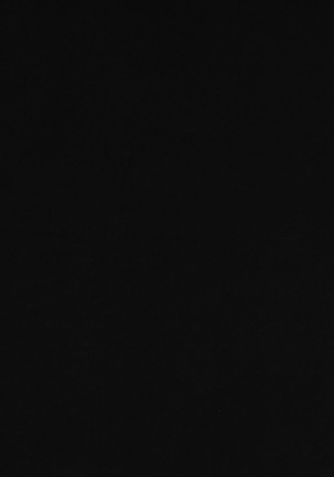 Image 7298135