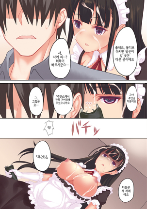 Ore no Maid ga hankouteki nanode Saikyoiku | 내 메이드가 반항적이라 재교육? - Page 20