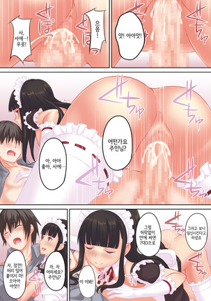 Ore no Maid ga hankouteki nanode Saikyoiku | 내 메이드가 반항적이라 재교육? - Page 25