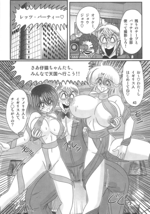 Seirei tokusō fairy saber W koi goku satsujin kyō Page #44