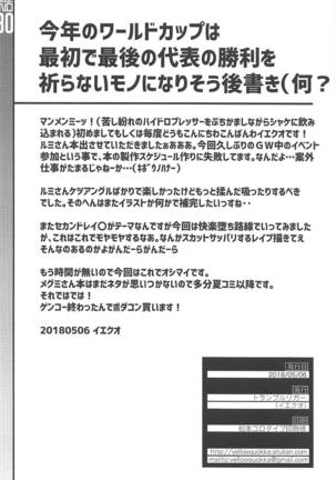 続アヴェンジャー消失事件・ル型 Page #29