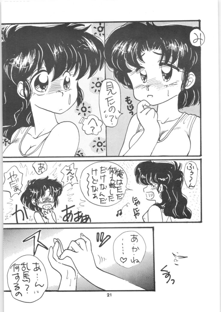 Ranma 1/2 SPECIAL Soushuuhen