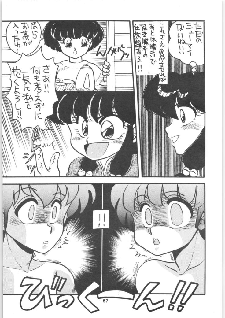 Ranma 1/2 SPECIAL Soushuuhen