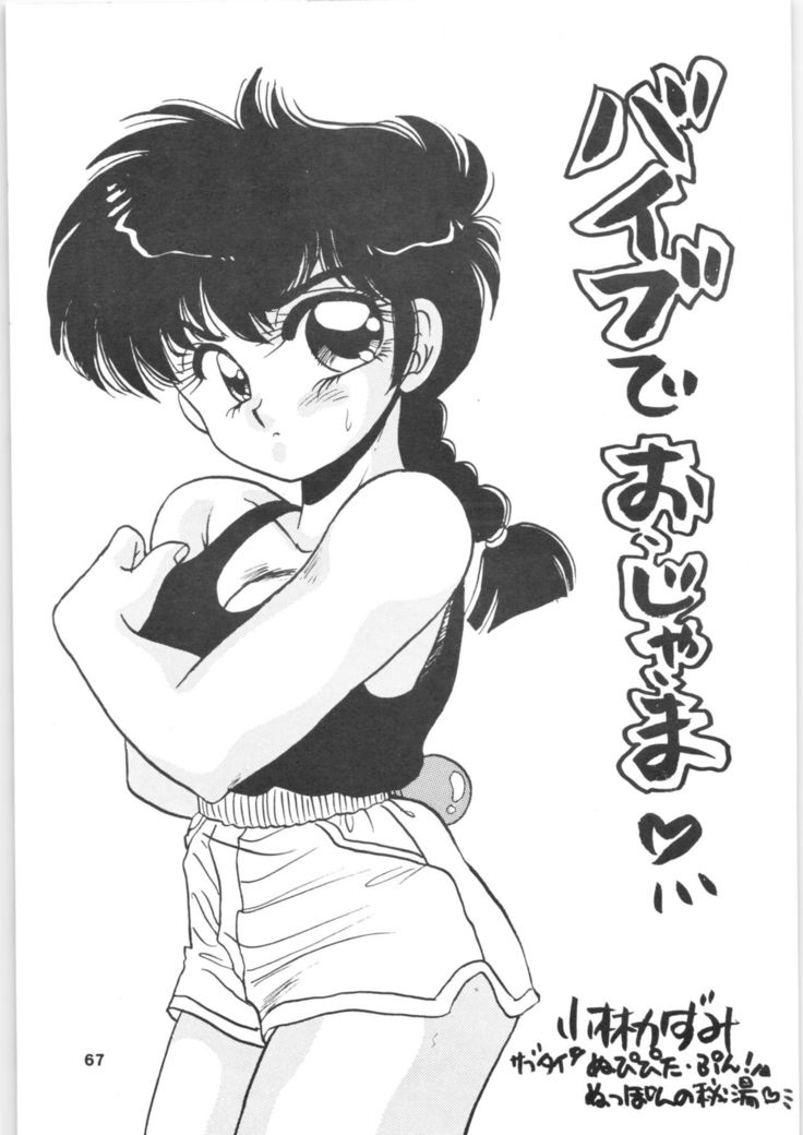 Ranma 1/2 SPECIAL Soushuuhen