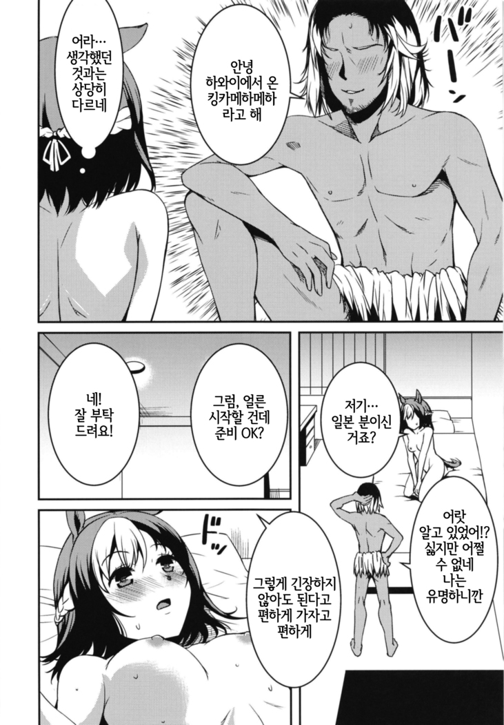 Derby Sta Musume | 다비 스타 무스메
