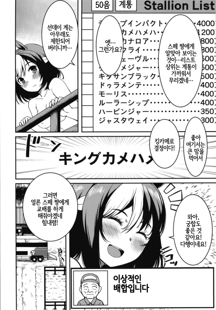 Derby Sta Musume | 다비 스타 무스메