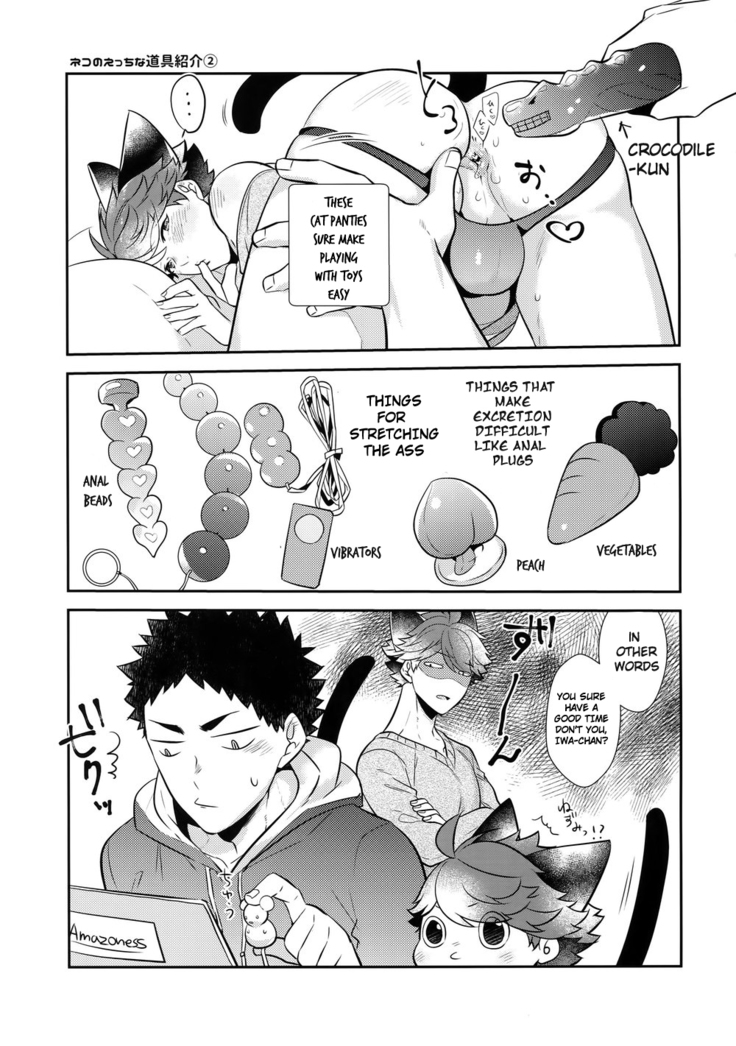 Iwachan no Neko ni Naritai 7 – Haikyuu!! dj