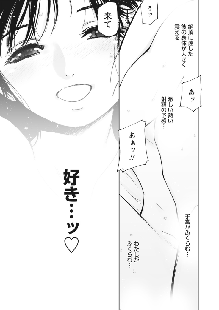 WEB Bazooka Vol.13