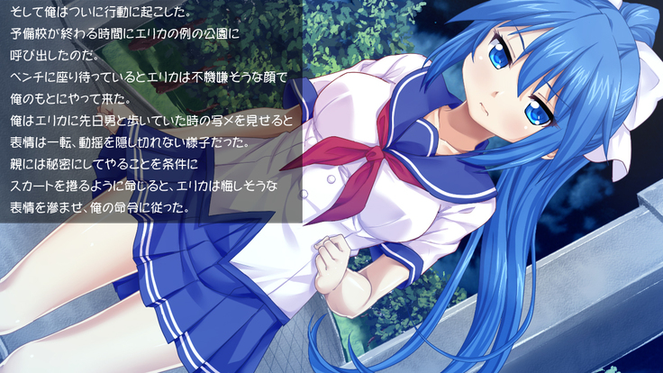 Imouto wa Tadaima Hatsujouchuu 3 ~Erika no Ana wa Futtoi no ga Hairippanashi~