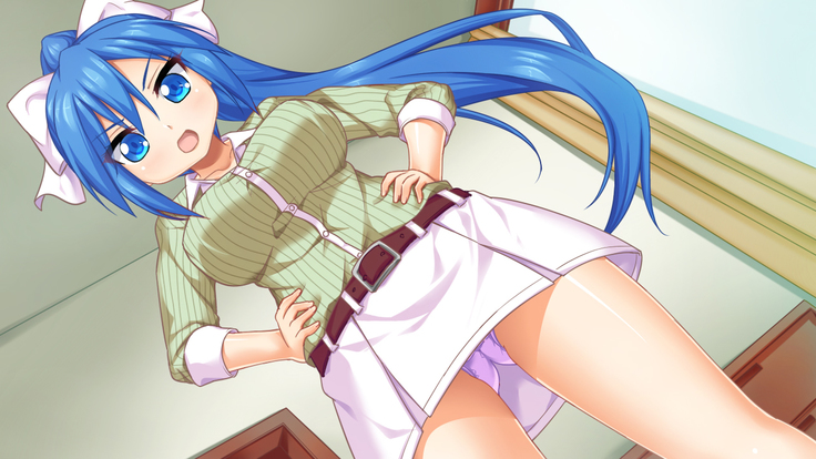 Imouto wa Tadaima Hatsujouchuu 3 ~Erika no Ana wa Futtoi no ga Hairippanashi~