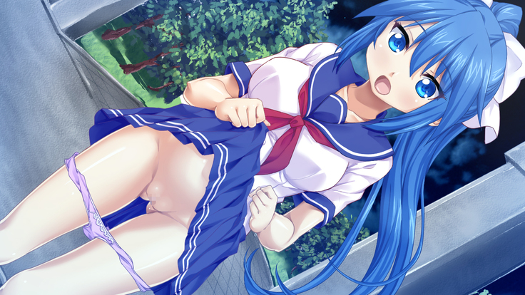 Imouto wa Tadaima Hatsujouchuu 3 ~Erika no Ana wa Futtoi no ga Hairippanashi~