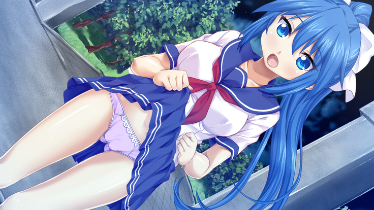 Imouto wa Tadaima Hatsujouchuu 3 ~Erika no Ana wa Futtoi no ga Hairippanashi~