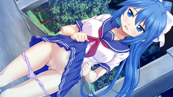 Imouto wa Tadaima Hatsujouchuu 3 ~Erika no Ana wa Futtoi no ga Hairippanashi~