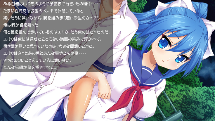 Imouto wa Tadaima Hatsujouchuu 3 ~Erika no Ana wa Futtoi no ga Hairippanashi~