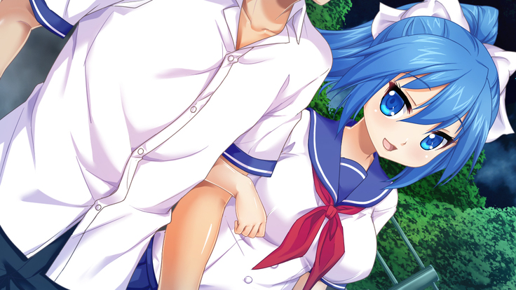 Imouto wa Tadaima Hatsujouchuu 3 ~Erika no Ana wa Futtoi no ga Hairippanashi~